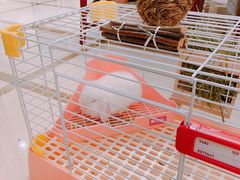 -宠物兔专门店(天丰利市场店)