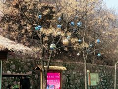 -河南宝泉旅游区