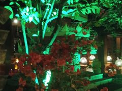 -西双版纳洲际度假酒店兰吧