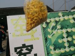 -苏州市吴中区光福窑上花果蜜饯厂