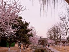 -三里河公园