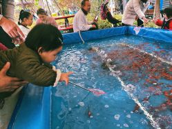 -萌宠亲子动物乐园(槐房万达店)