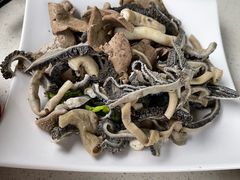 -墨脱石锅椰子鸡•香草鸭•东山羊(大东海店)