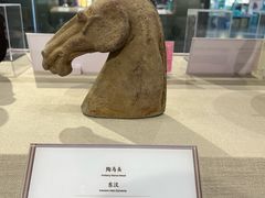 -上海体育博物馆