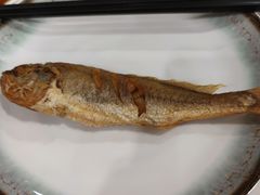 -高丽馆(尊茂店)