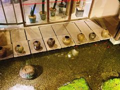 -几荷·恰似故人来(秀水广场店)
