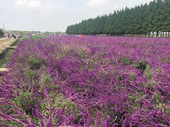 -嘉北郊野公园