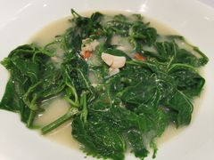 上汤桑叶-至潮餐厅精致粤菜·活鲈鱼·走地鸡(珠江新城店)