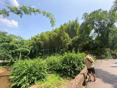 -漫山居私汤民宿全竹宴