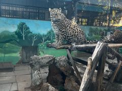 -昆明动物园