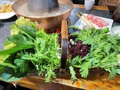-南门四季铜锅涮肉(左家庄店)