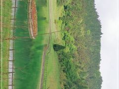 -武陵山森林公园