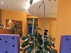 -美泰·Mangothai·清迈云街(天空之城店)
