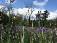 -贵阳市花溪国家城市湿地公园