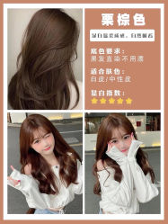 -AFA Hair studio·女士发型设计