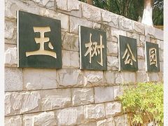 -玉树公园