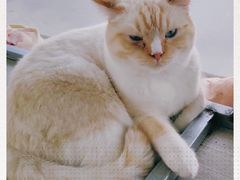 -藏猫猫咖啡主题馆(中央大道店)