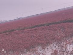 -盘锦红海温泉乐园