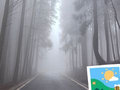 -山王坪喀斯特国家生态公园