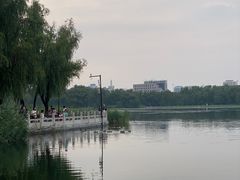 -莲花池公园