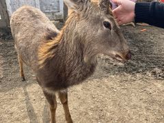 -前小桔亲子创意农场·草莓采摘·露营烧烤