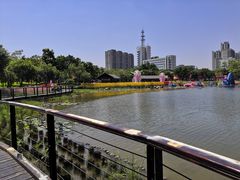 -映月湖公园