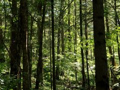 -长白山万达锦华套房酒店