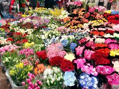 -双季花艺园艺市场(浦东店)