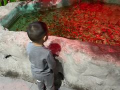 -常州海昌海洋探索馆