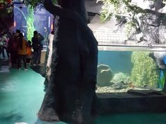-石家庄极地海洋世界