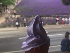 -富田农场