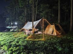 -武陵山森林公园
