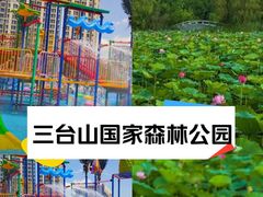 -江苏三台山国家森林公园