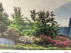 -杭州城北体育公园