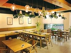 -柴务处·柴犬主题狗咖