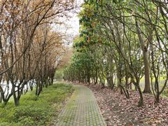 -广富林郊野公园