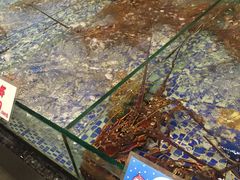 -雅盛品931海鲜酒家