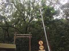 -狮子山郊野公园