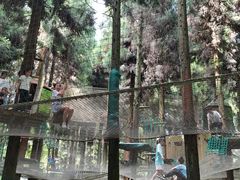 -武陵山森林公园