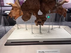 -北京周口店北京人遗址博物馆