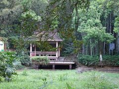景点-天鹿湖森林公园