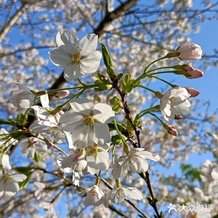 趁着蓝天去就对了