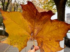 -长沙友阿奥特莱斯