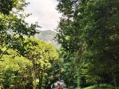 -雁荡山风景名胜区