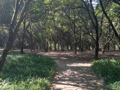 -杭州植物园