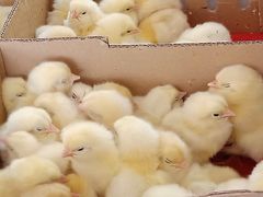 -兴芮温泉度假区