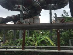 -亚马逊丛林水乐园