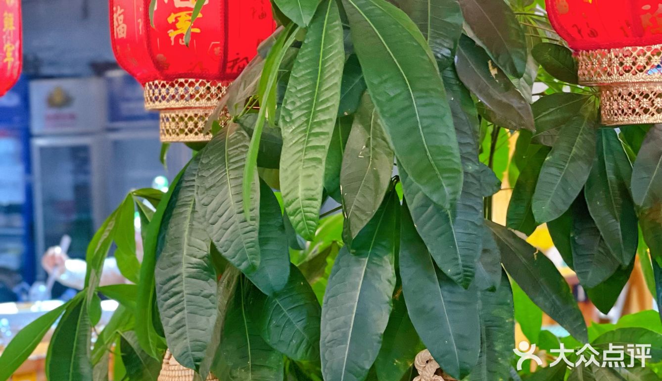 还是得这么吃，才是地道的原汤原味，鲜掉眉毛‼️
