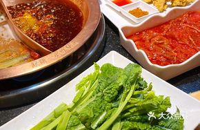 Sichuan Bitter Melon Shoots