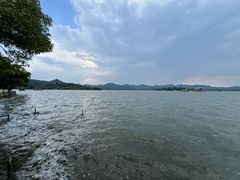 -杭州西湖柳莺里酒店